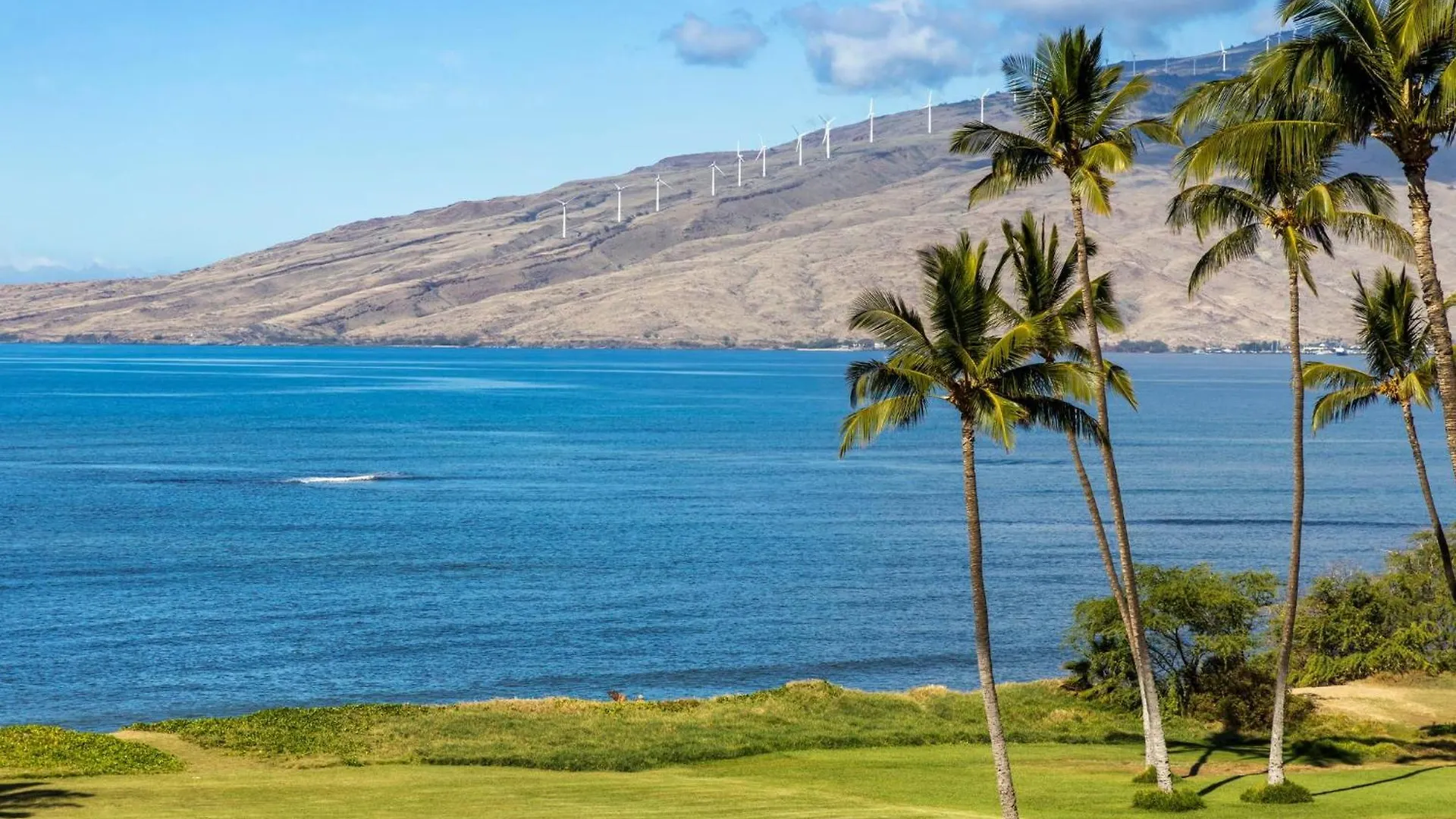 Casa vacanze Villa Maui Sunset B206 Kihei